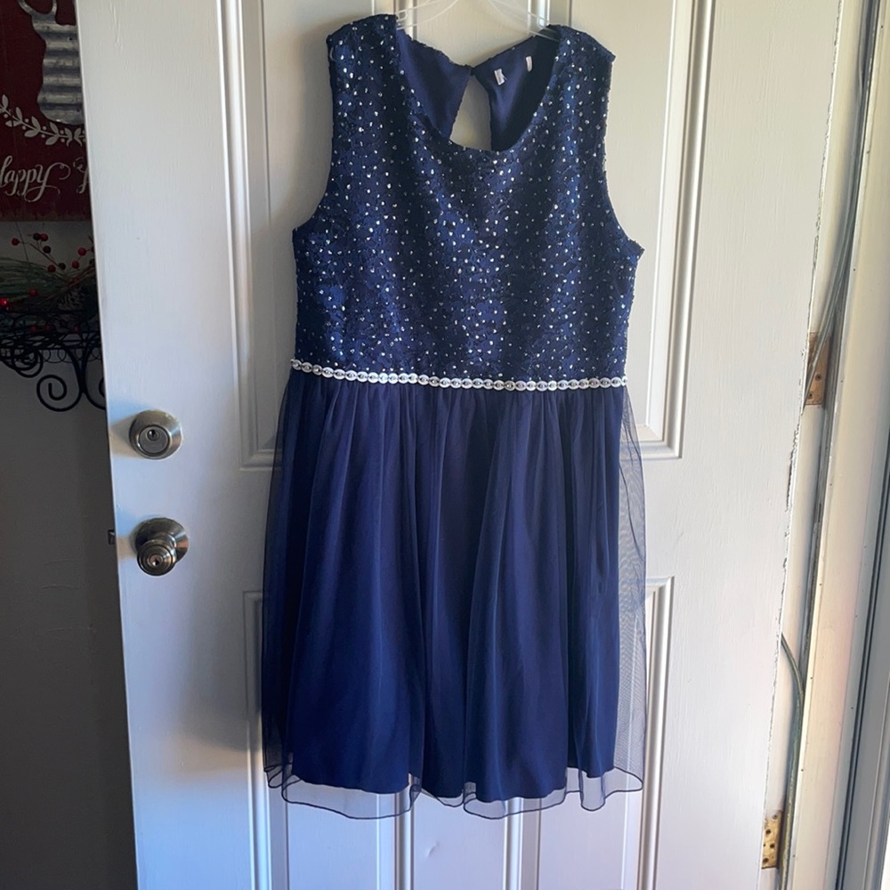 Beautiful girls plus dress! Wore once.